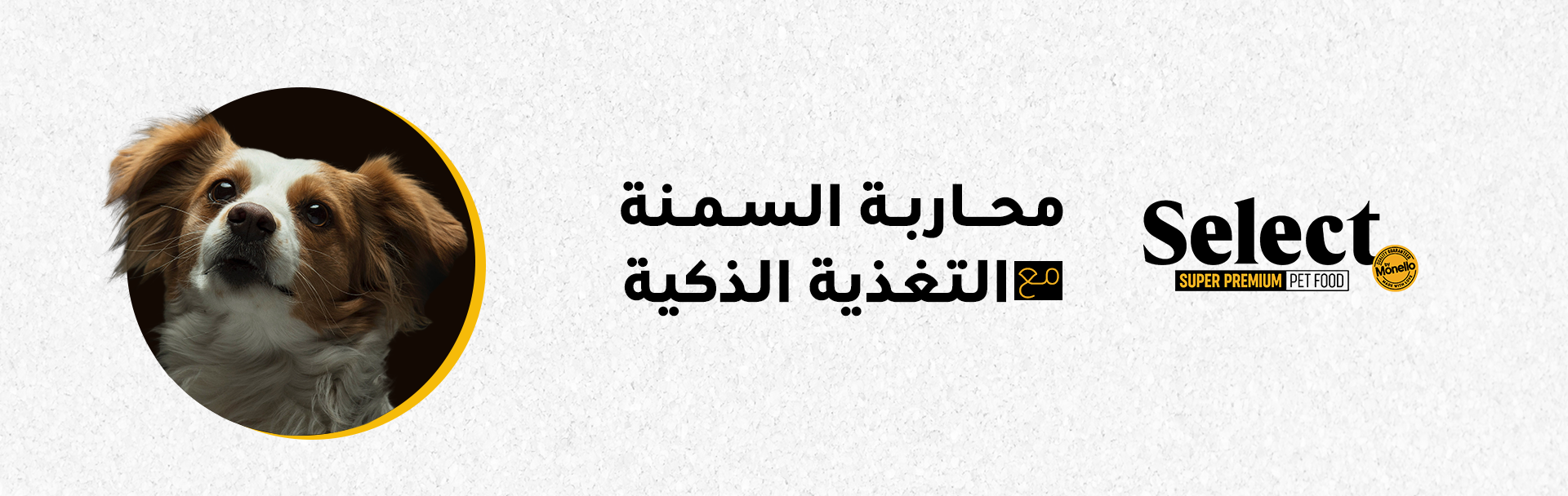 1920X608